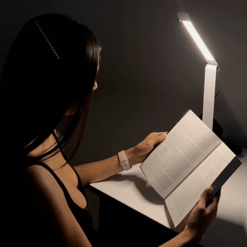 Flexilight Led