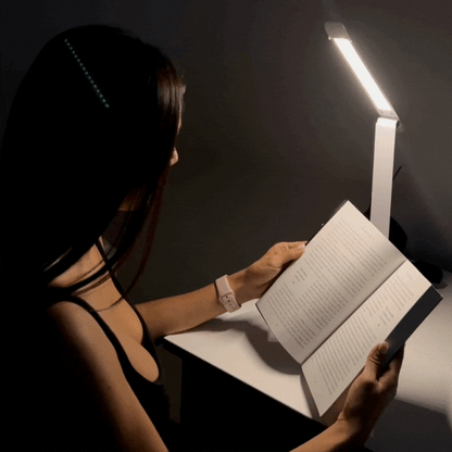 Flexilight Led